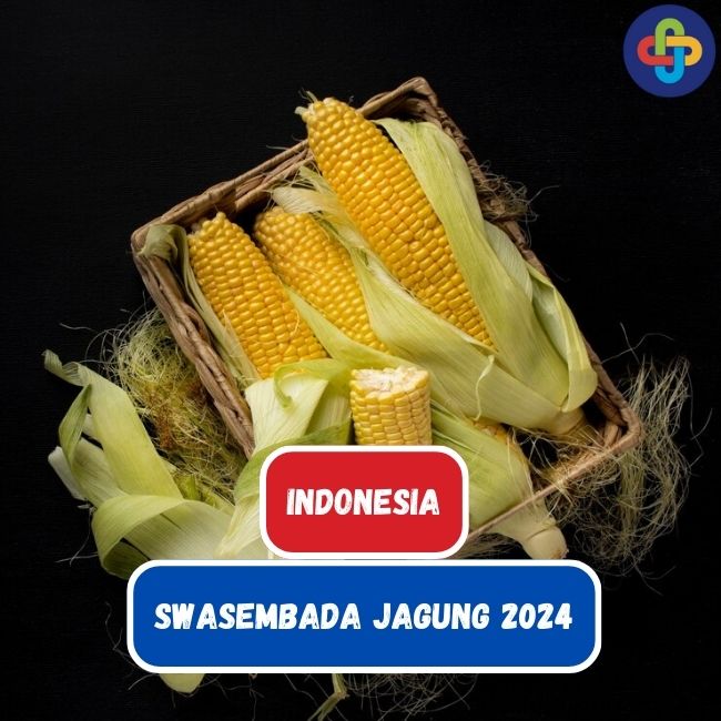 Indonesia Menuju Swasembada Jagung 2024